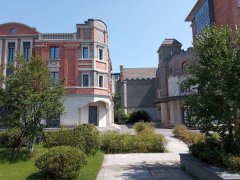 市中心全新优质厂房出租，面积1000-24000平